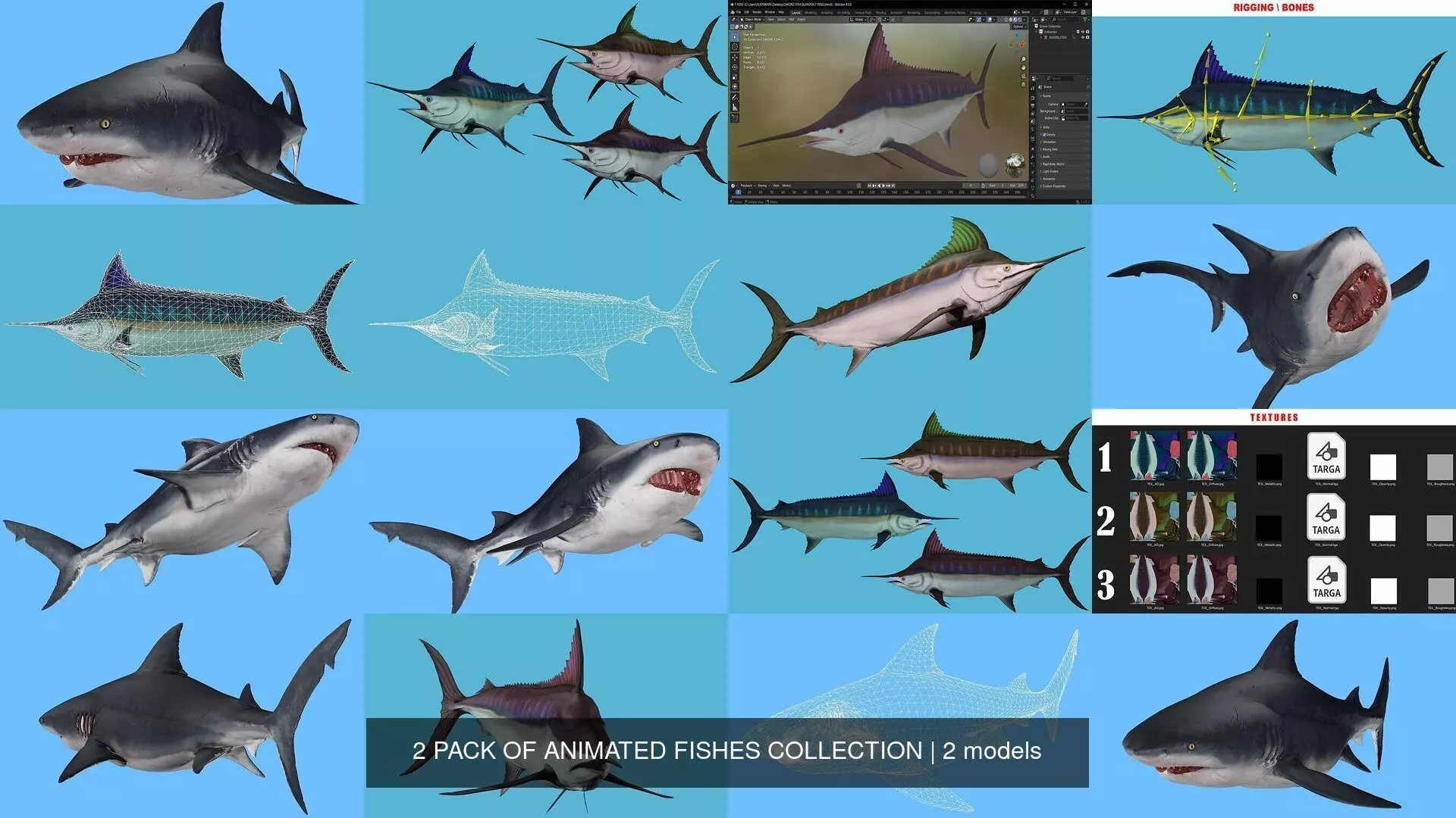 2 PACK OF ANIMATED FISHES COLLECTION _0