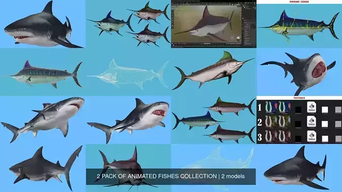2 PACK OF ANIMATED FISHES COLLECTION 