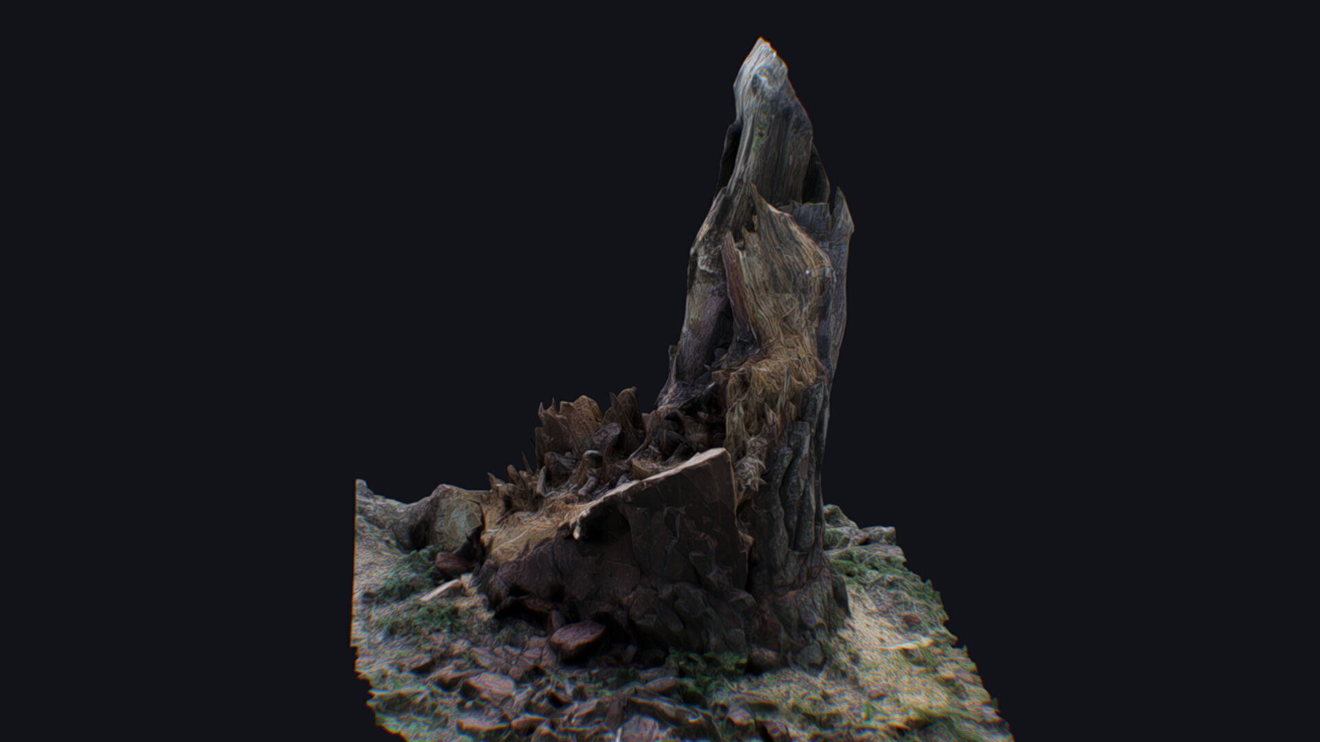 Old Stump Tree Wood Broken Limb Dead Branch Timber 3D model_4