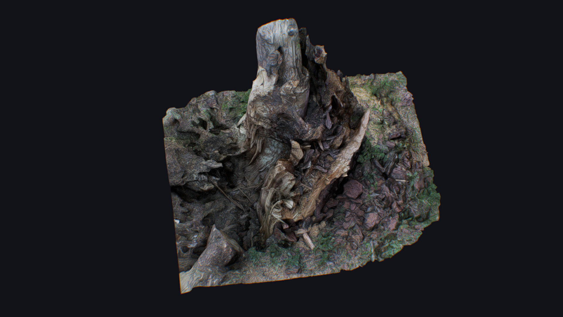 Old Stump Tree Wood Broken Limb Dead Branch Timber 3D model_8