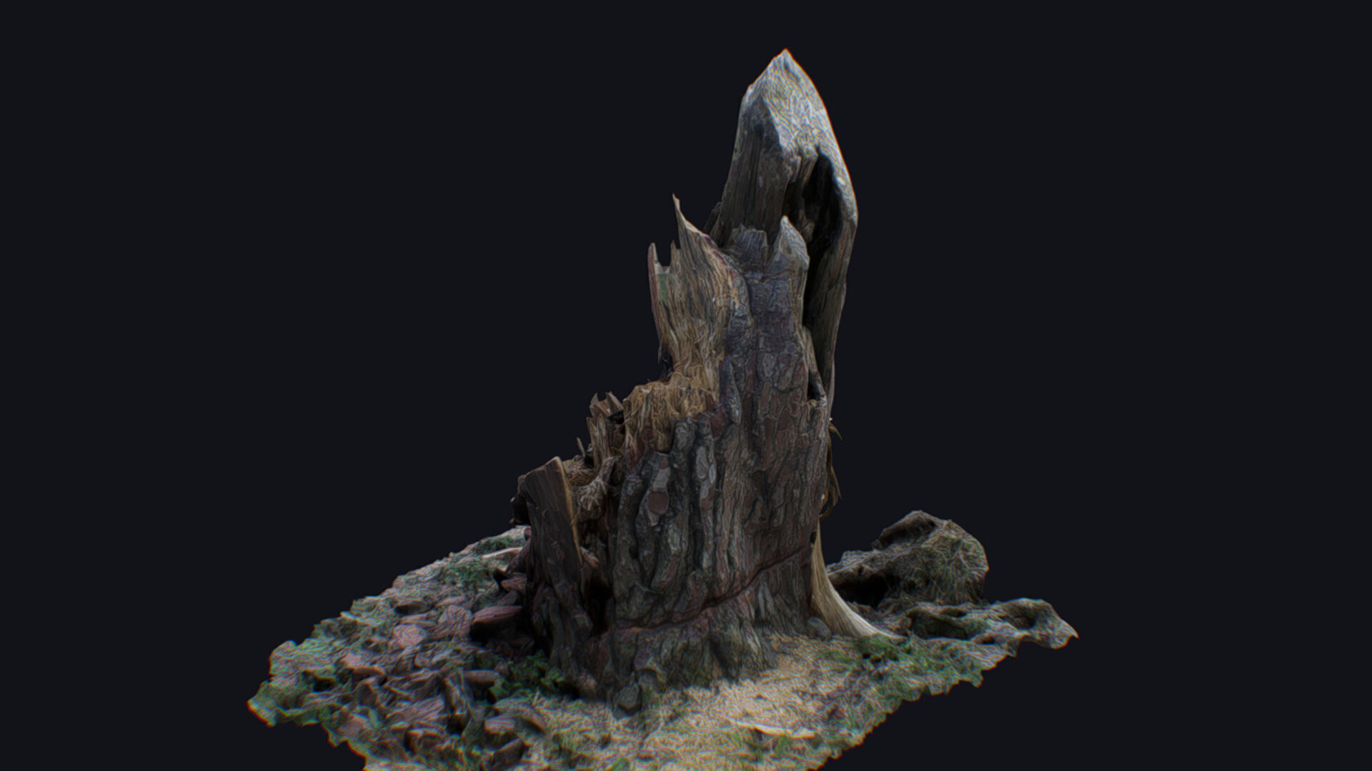 Old Stump Tree Wood Broken Limb Dead Branch Timber 3D model_5