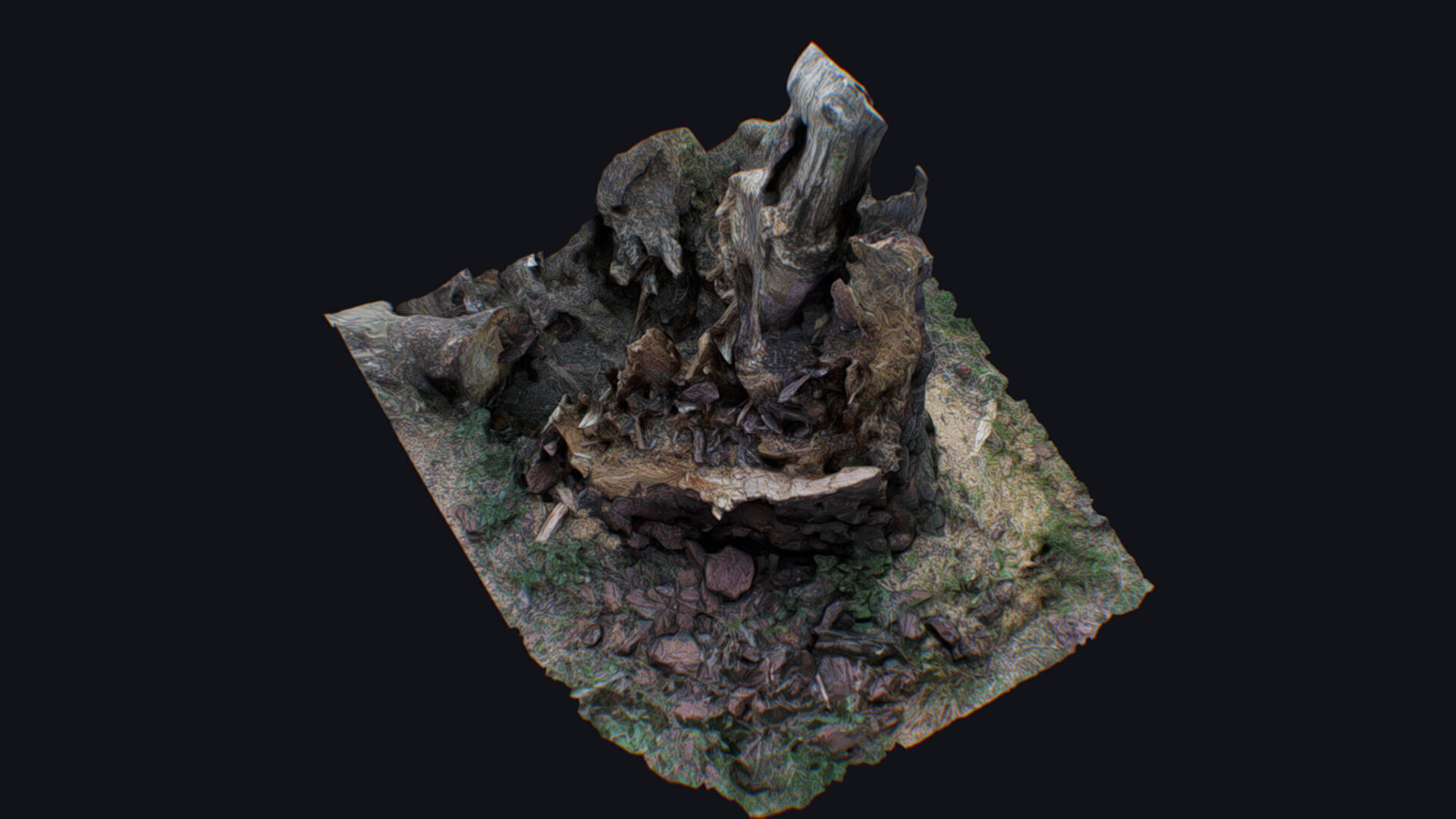 Old Stump Tree Wood Broken Limb Dead Branch Timber 3D model_9