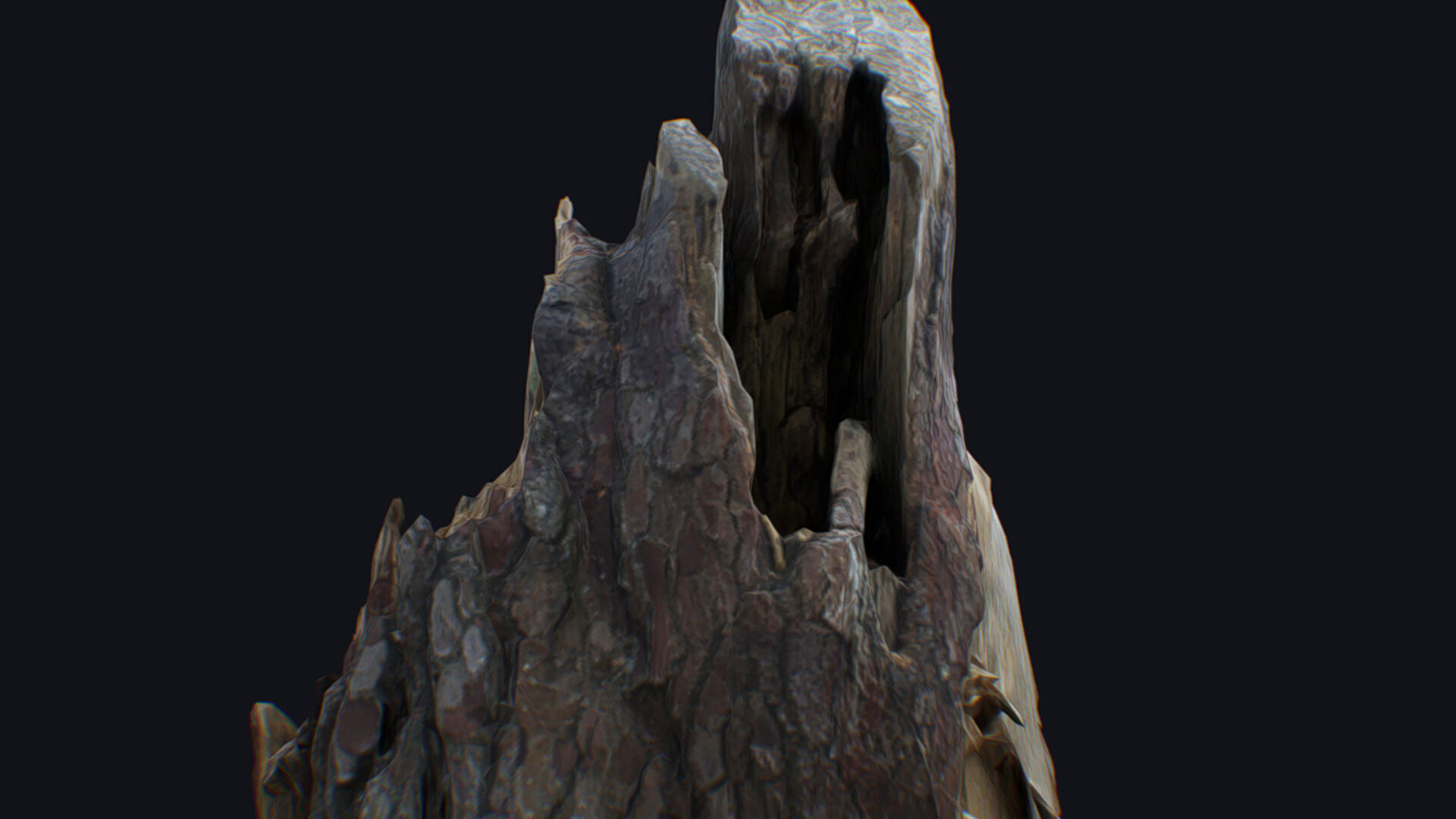 Old Stump Tree Wood Broken Limb Dead Branch Timber 3D model_14