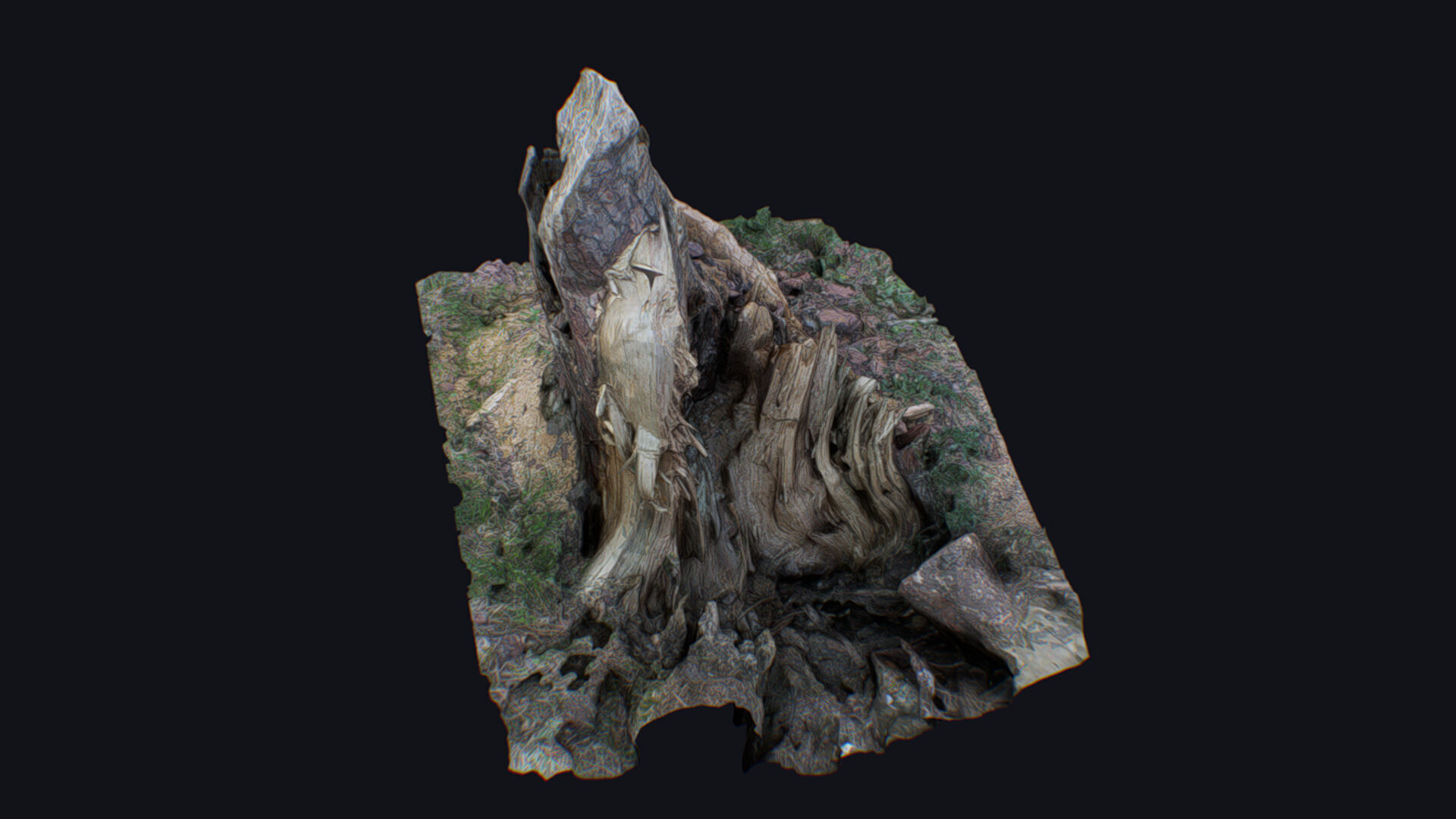 Old Stump Tree Wood Broken Limb Dead Branch Timber 3D model_7