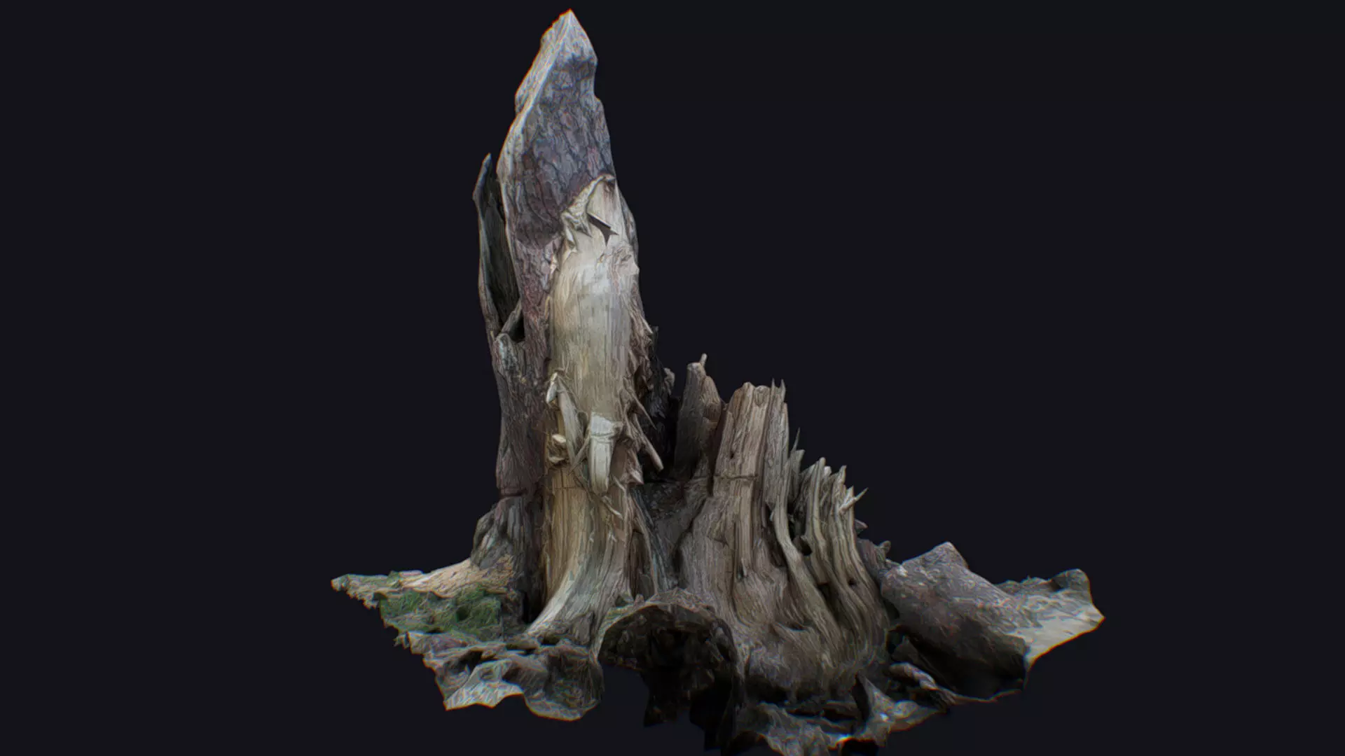 Old Stump Tree Wood Broken Limb Dead Branch Timber 3D model_0