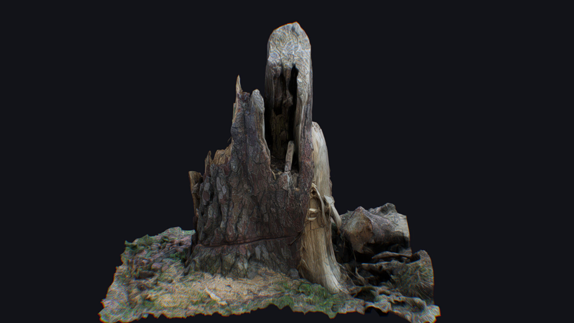 Old Stump Tree Wood Broken Limb Dead Branch Timber 3D model_6