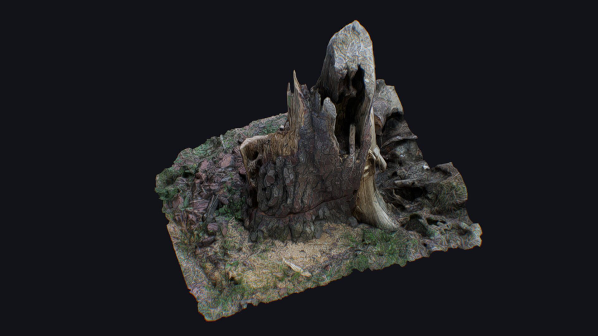 Old Stump Tree Wood Broken Limb Dead Branch Timber 3D model_10