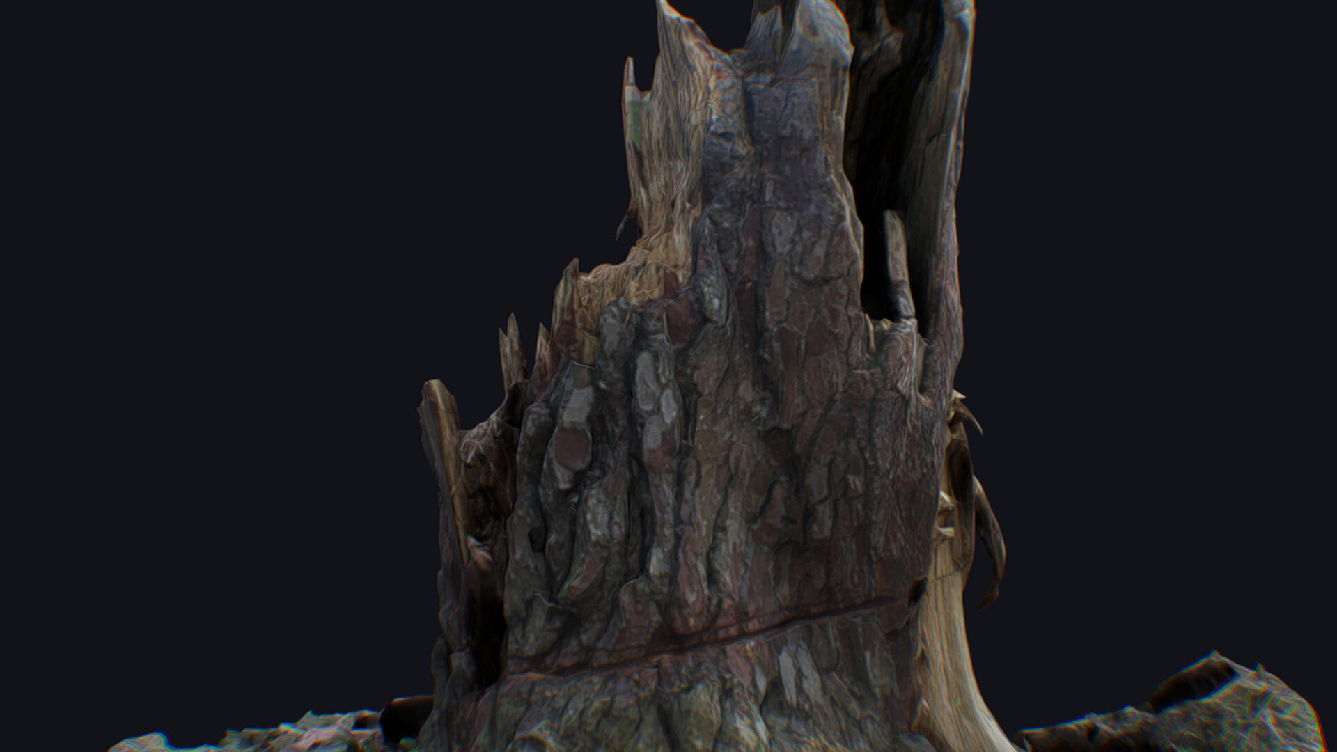 Old Stump Tree Wood Broken Limb Dead Branch Timber 3D model_11