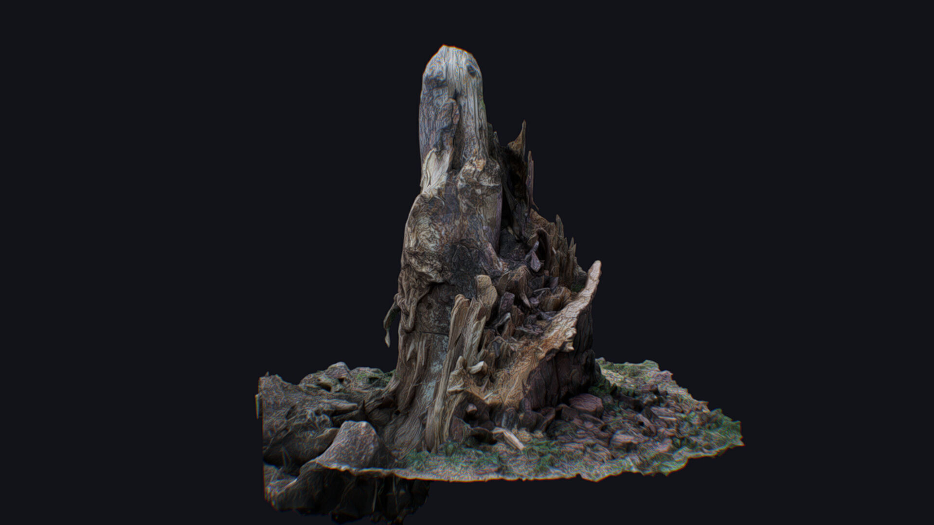 Old Stump Tree Wood Broken Limb Dead Branch Timber 3D model_2