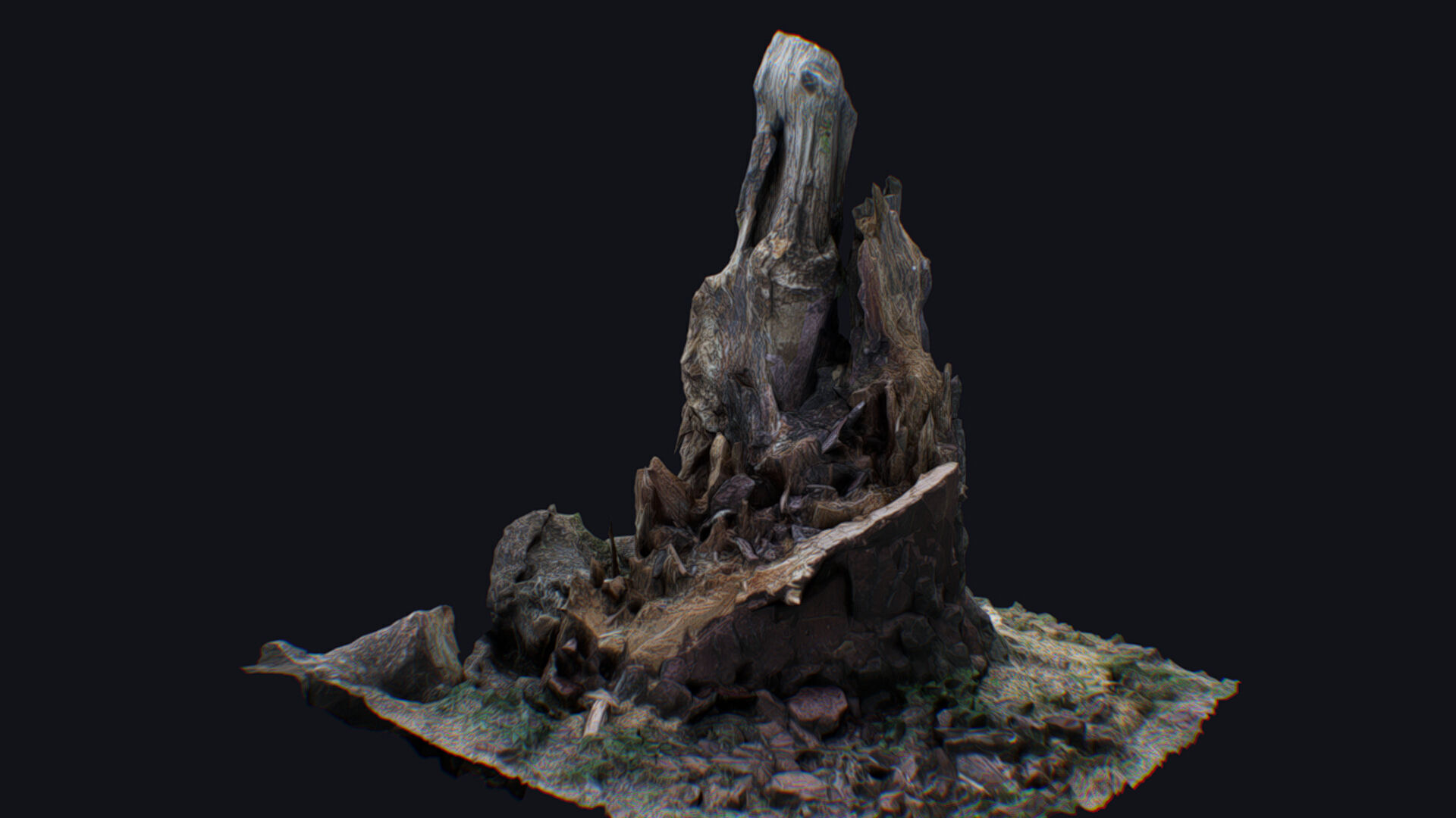 Old Stump Tree Wood Broken Limb Dead Branch Timber 3D model_3