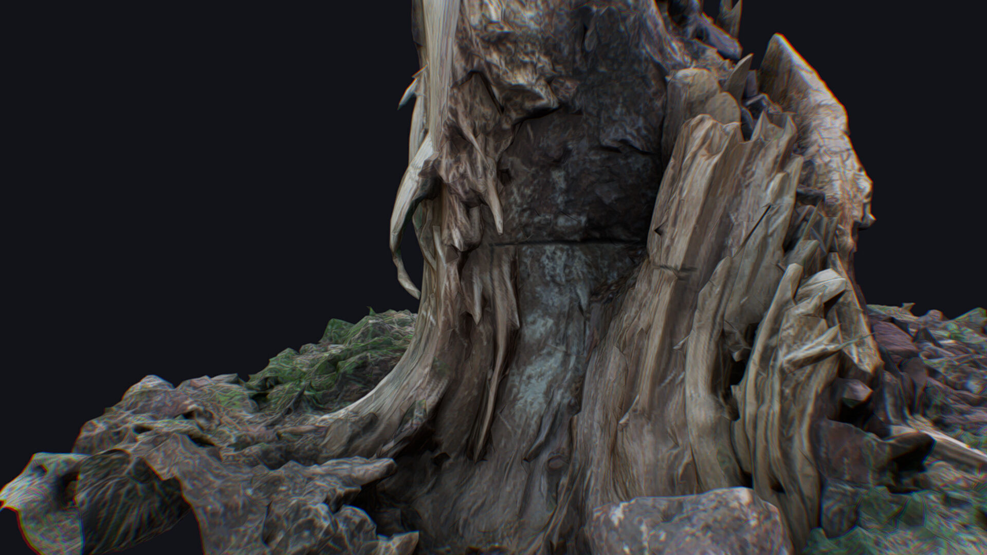 Old Stump Tree Wood Broken Limb Dead Branch Timber 3D model_12