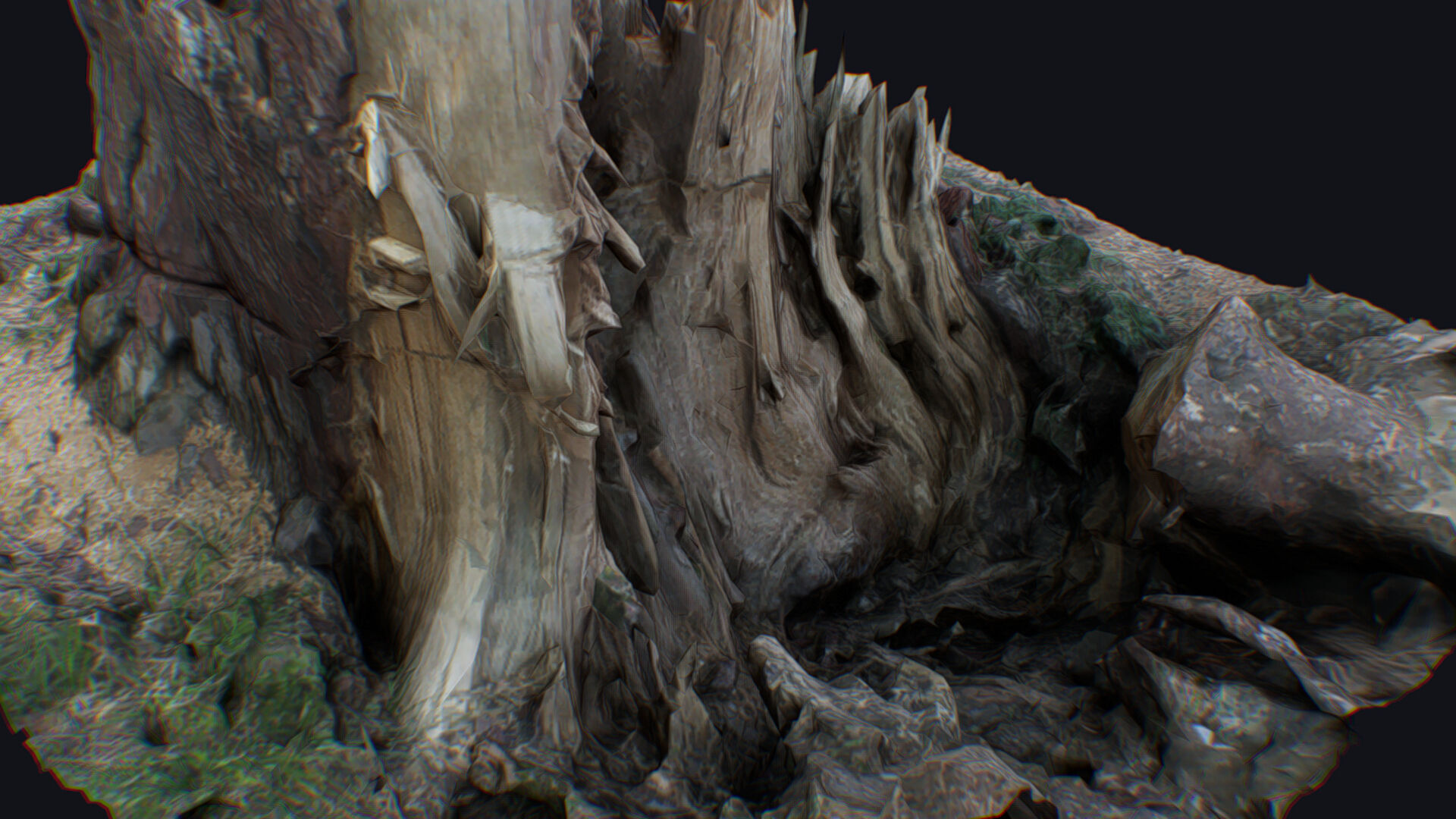 Old Stump Tree Wood Broken Limb Dead Branch Timber 3D model_15