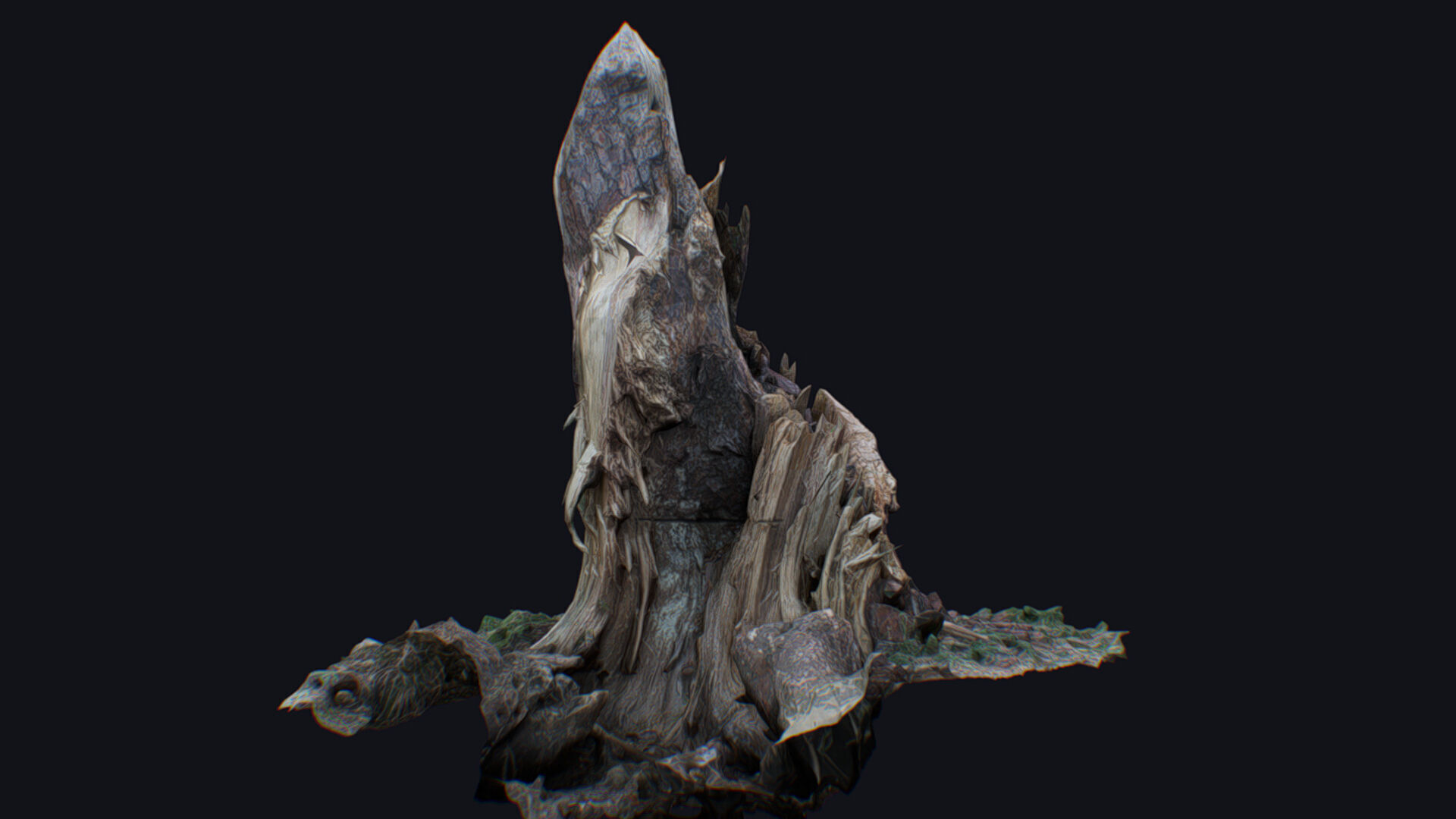 Old Stump Tree Wood Broken Limb Dead Branch Timber 3D model_1