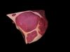 Stylized Raw Meat - AI Low-poly 3D model_1