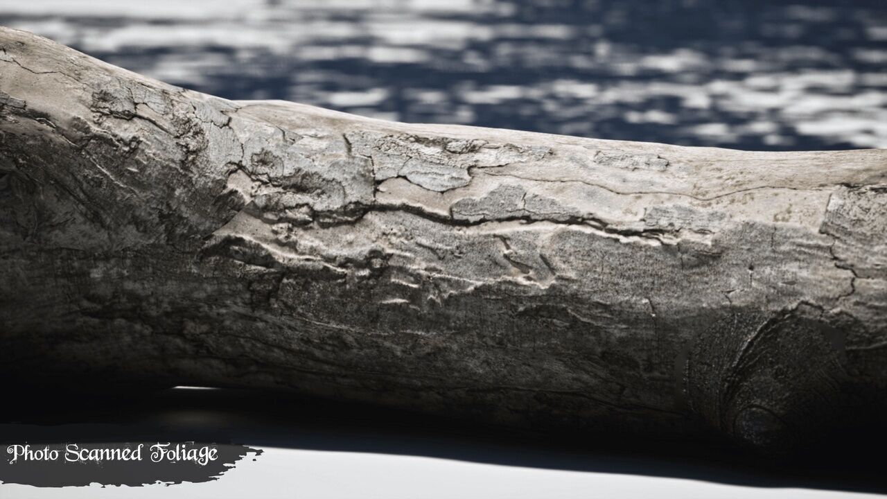 Medieval Kingdom Low-poly 3D model_17