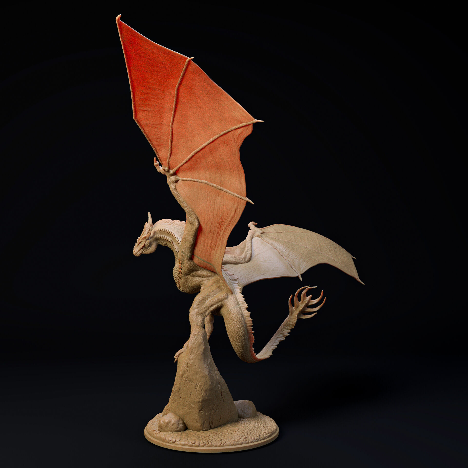 Crown Wyvern-Dragon landing 32mm scale - pre-supported 3D print model_3