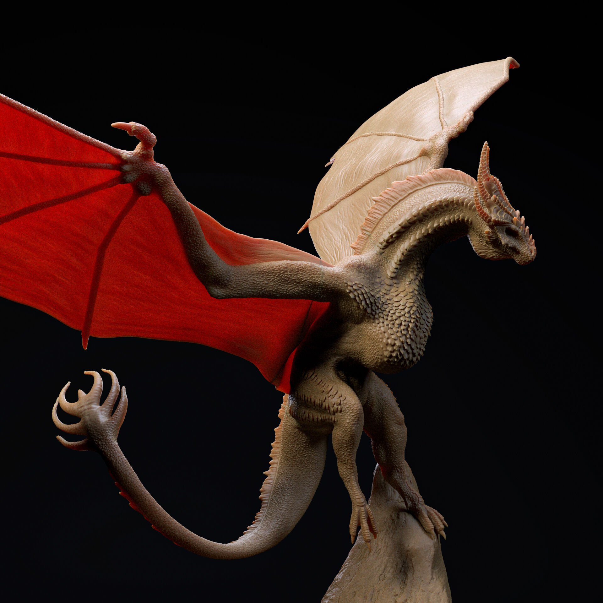 Crown Wyvern-Dragon landing 32mm scale - pre-supported 3D print model_6