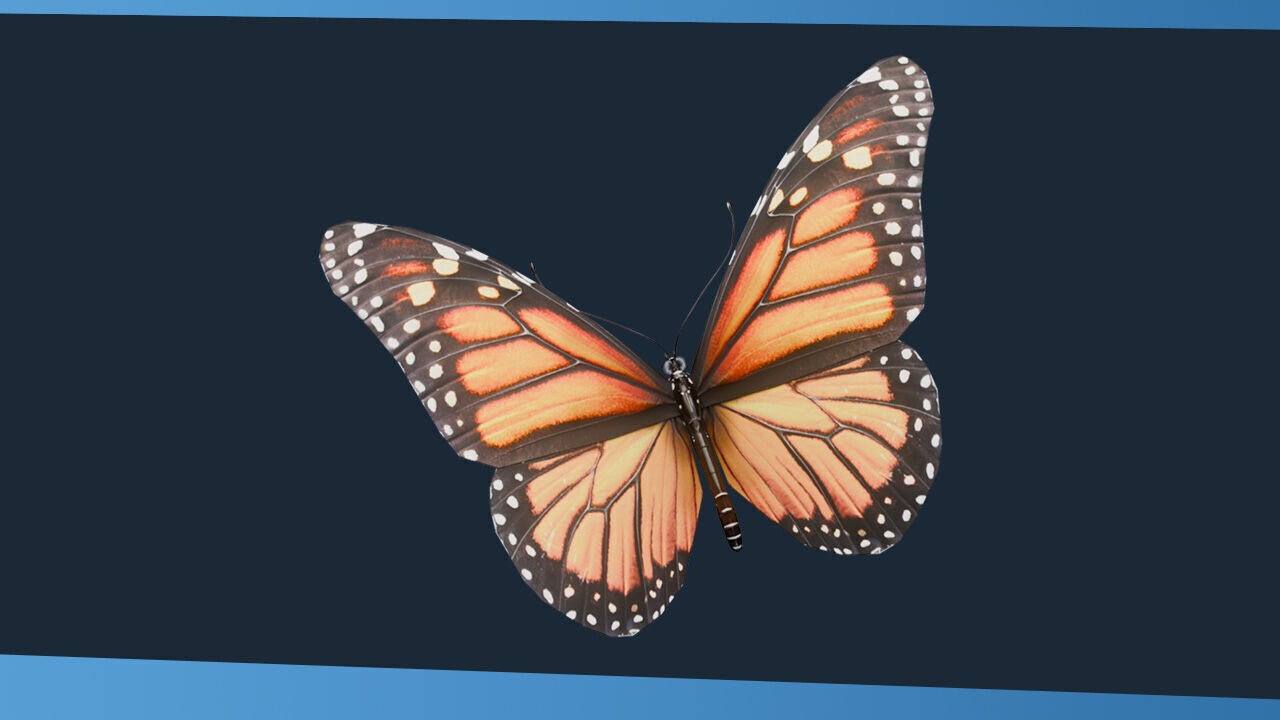 Science Pack Low-poly 3D model_9