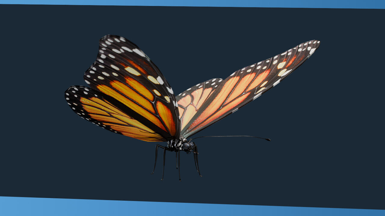 Science Pack Low-poly 3D model_10