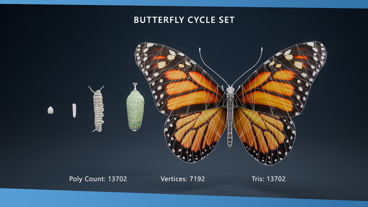 Science Pack Low-poly 3D model_8