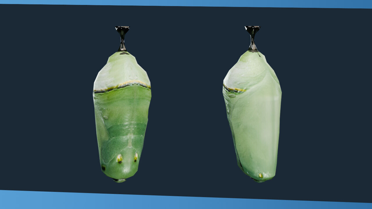 Science Pack Low-poly 3D model_12