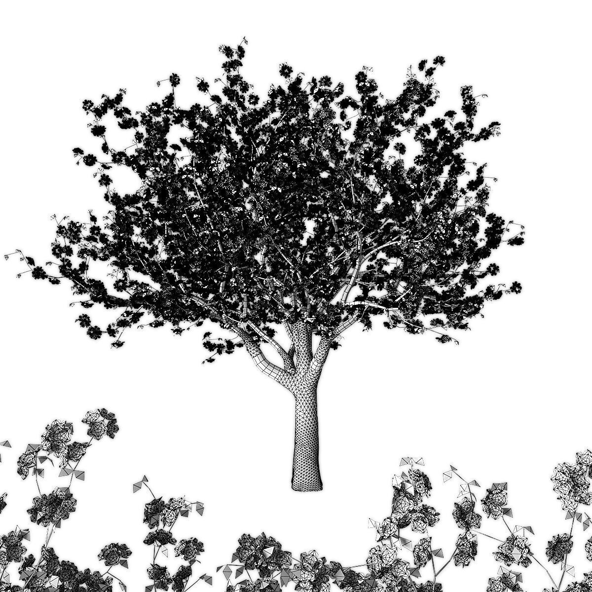 Sakura tree Low-poly 3D model_1