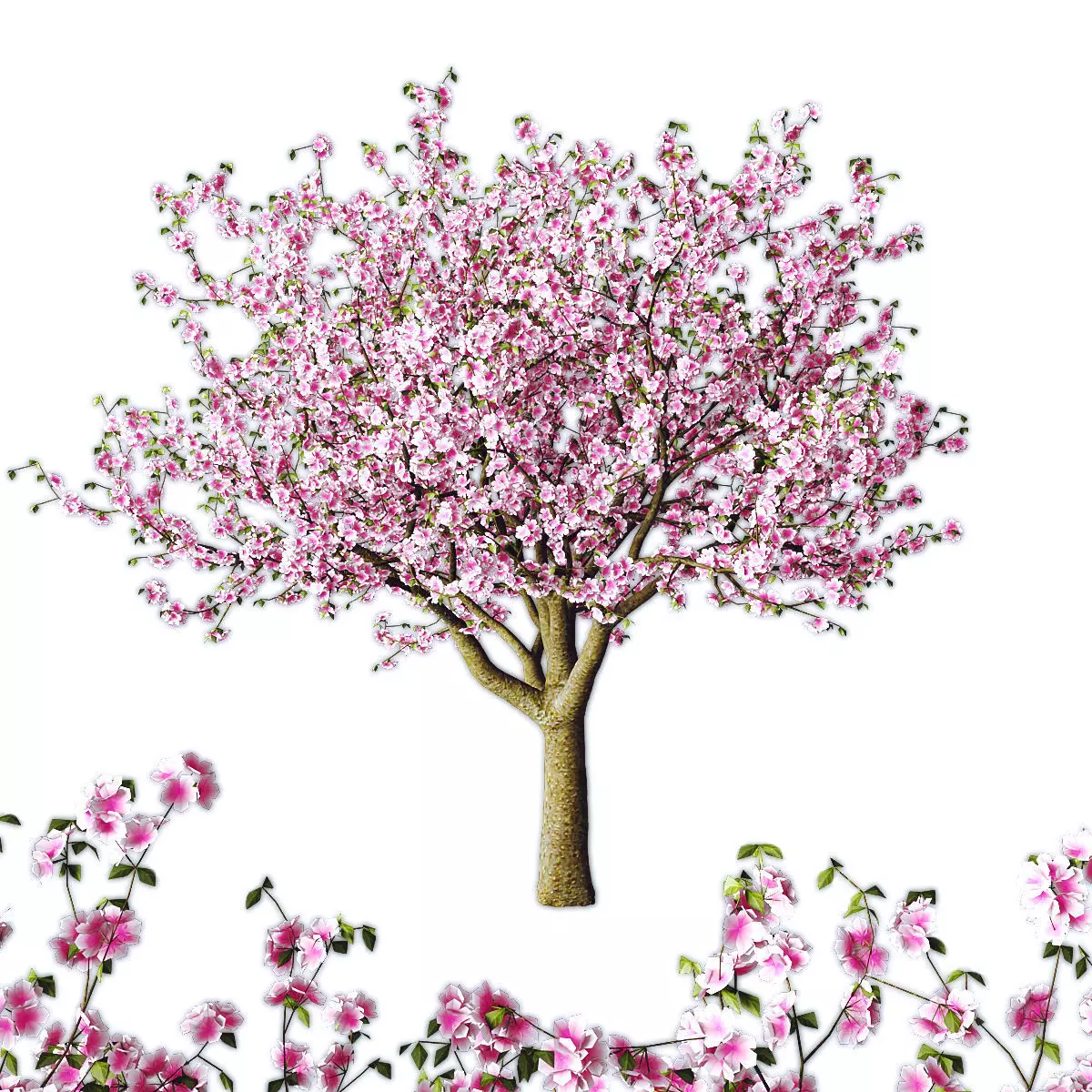 Sakura tree Low-poly 3D model_0