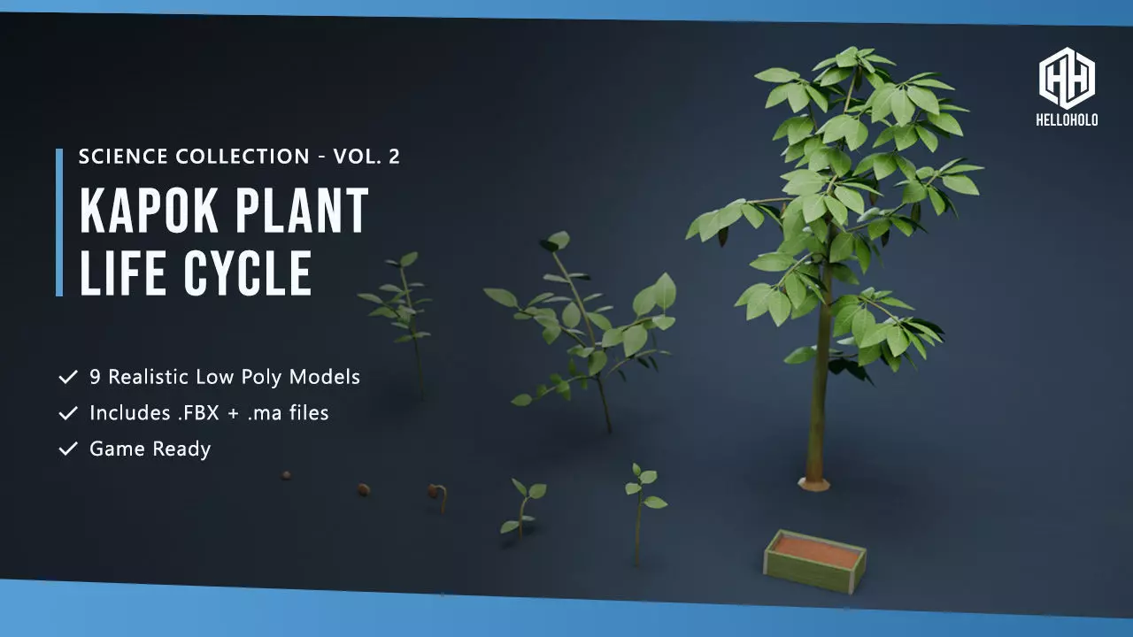 Kapok Plant Life Cycle Pack Low-poly 3D model