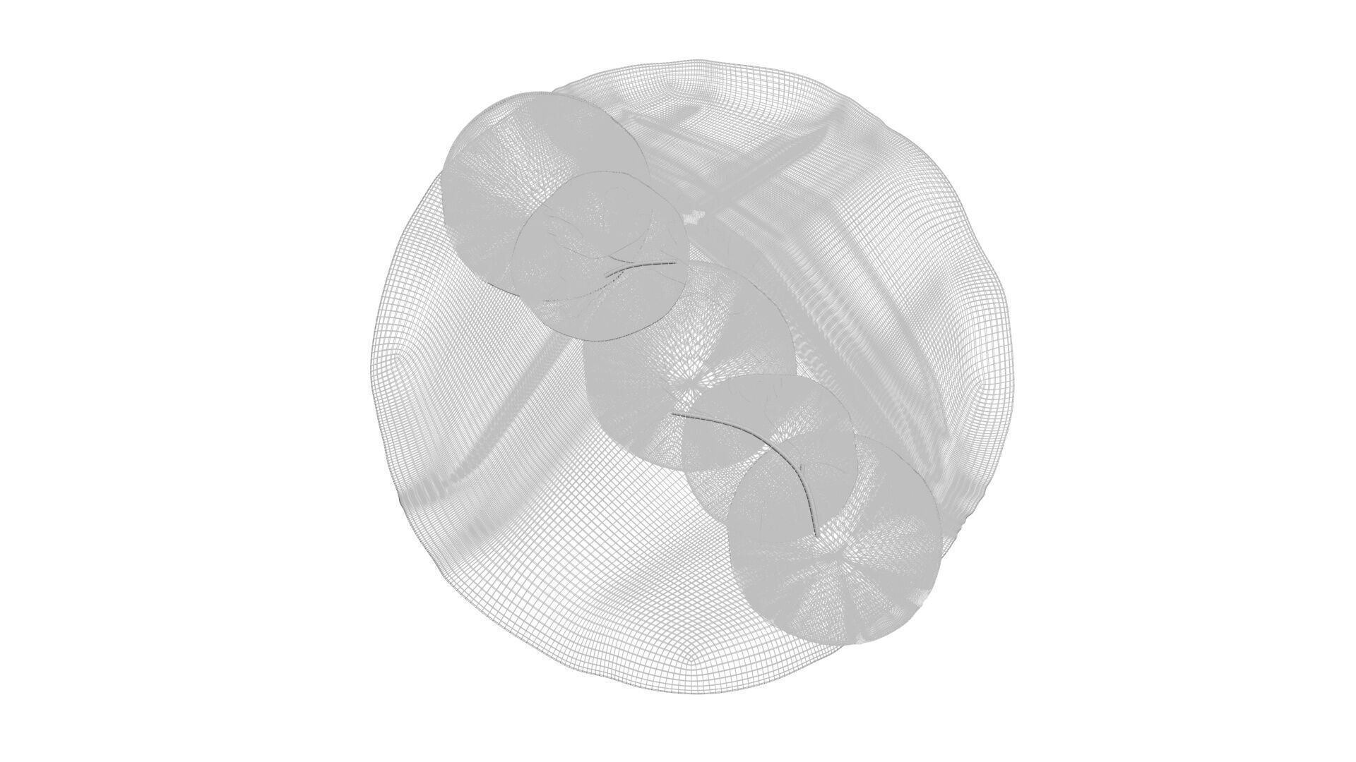 Turkish Lahmacun 3D model_24