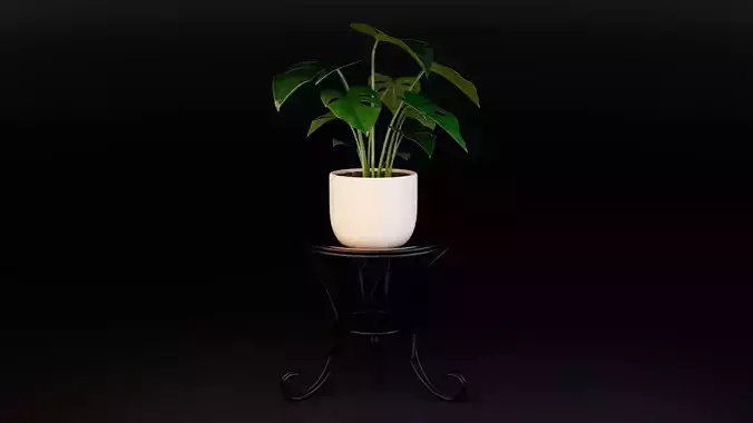 Plant Pot with Stand