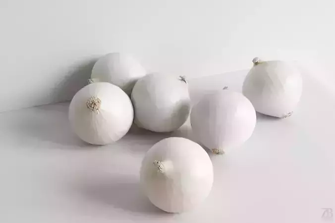 Onion 3D model