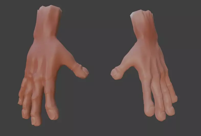 hand models 3D model_0
