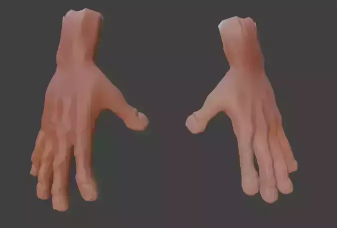 hand models