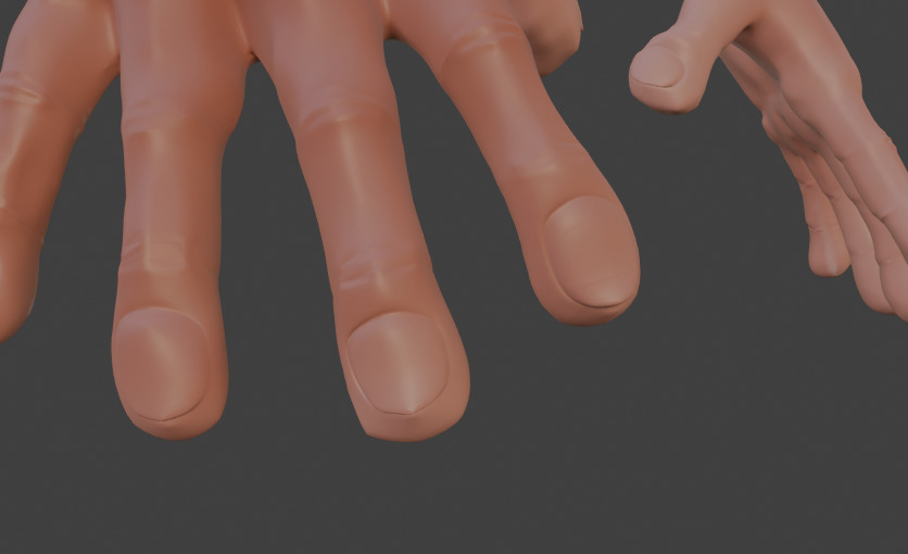 hand models 3D model_2