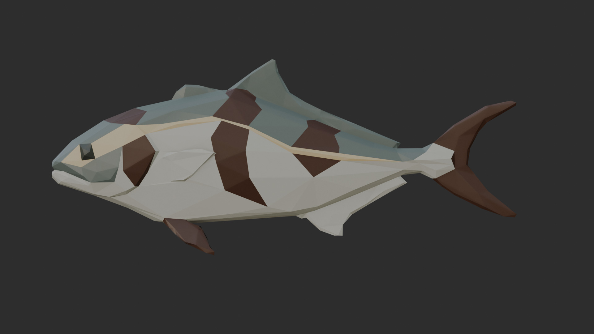 Low Poly Banded Rudderfish Low-poly 3D model_2