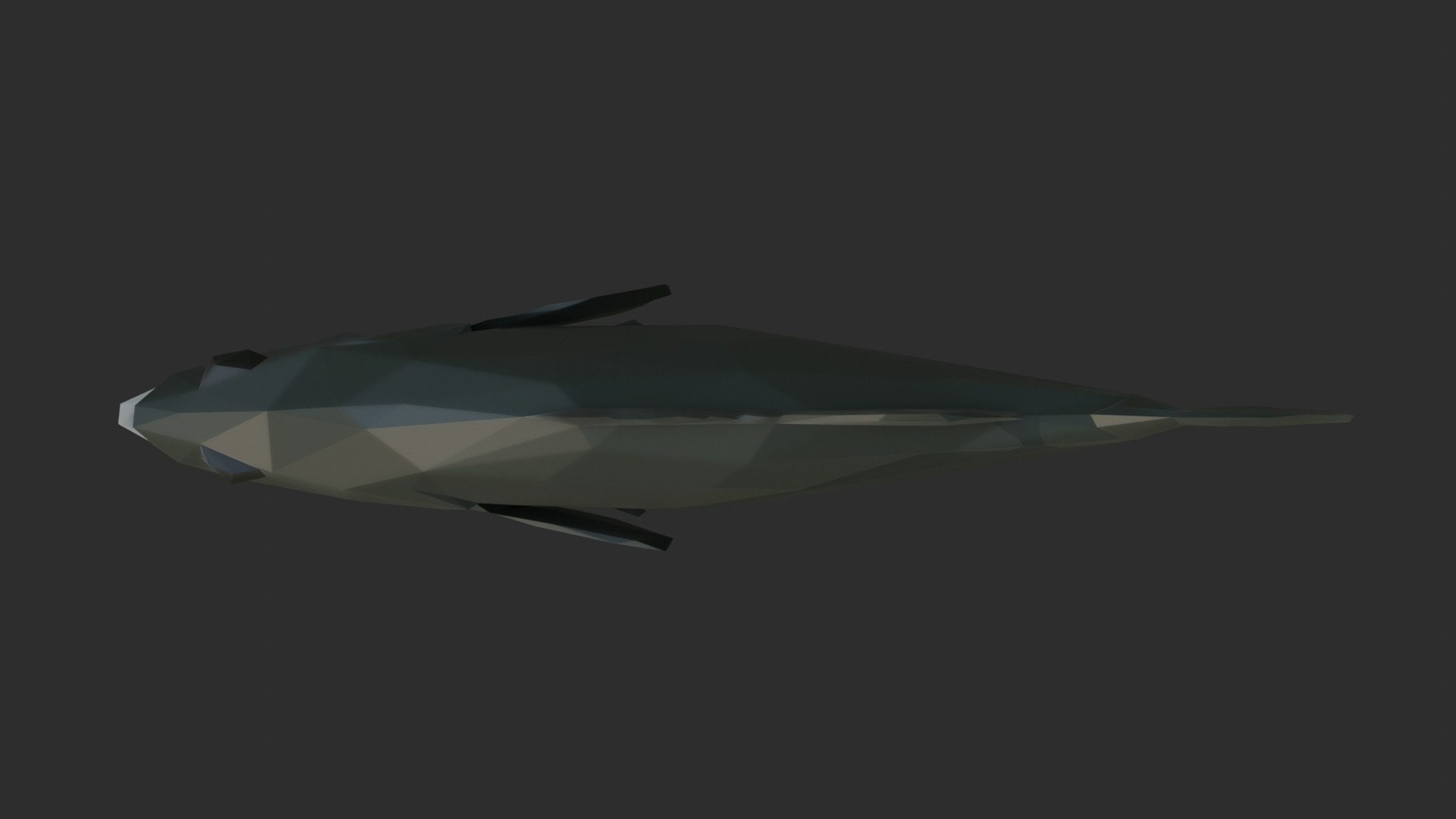 Low Poly Australian Bass Low-poly 3D model_4
