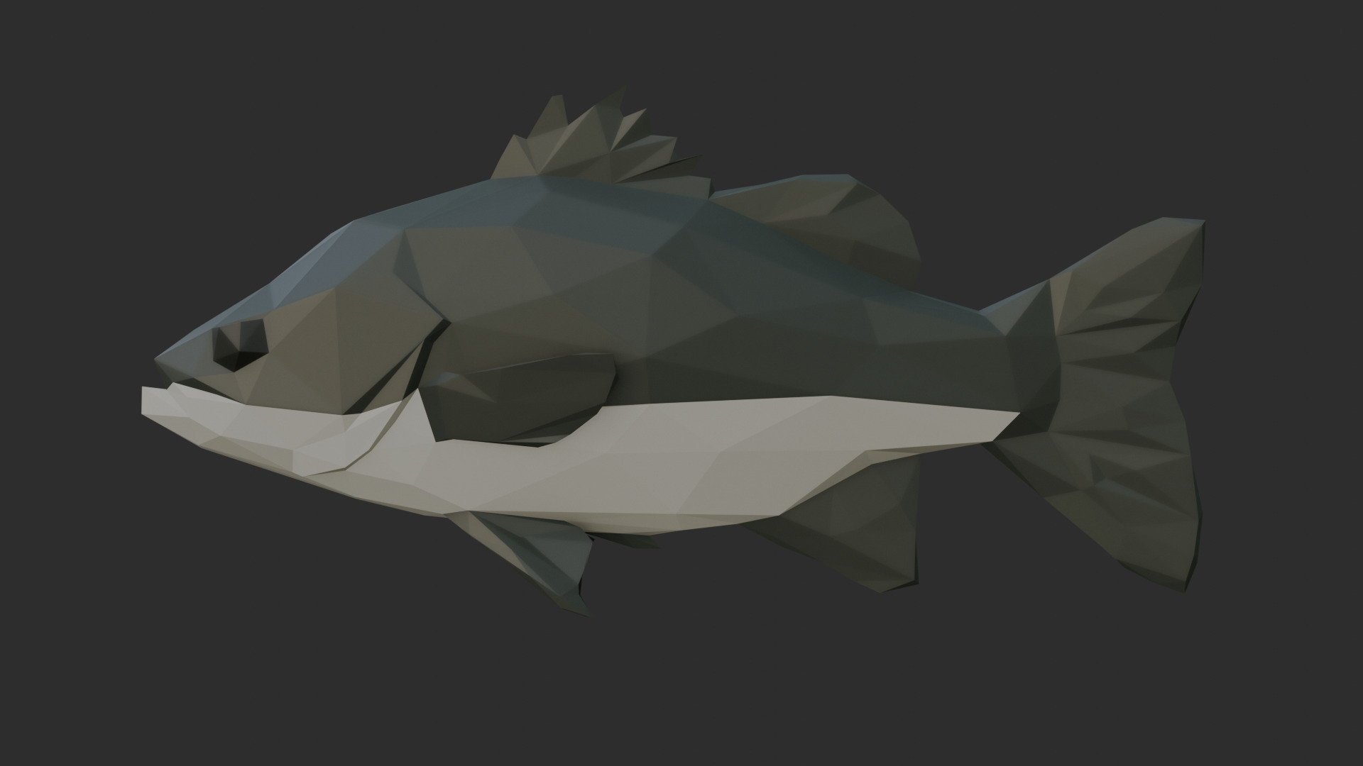 Low Poly Australian Bass Low-poly 3D model_2