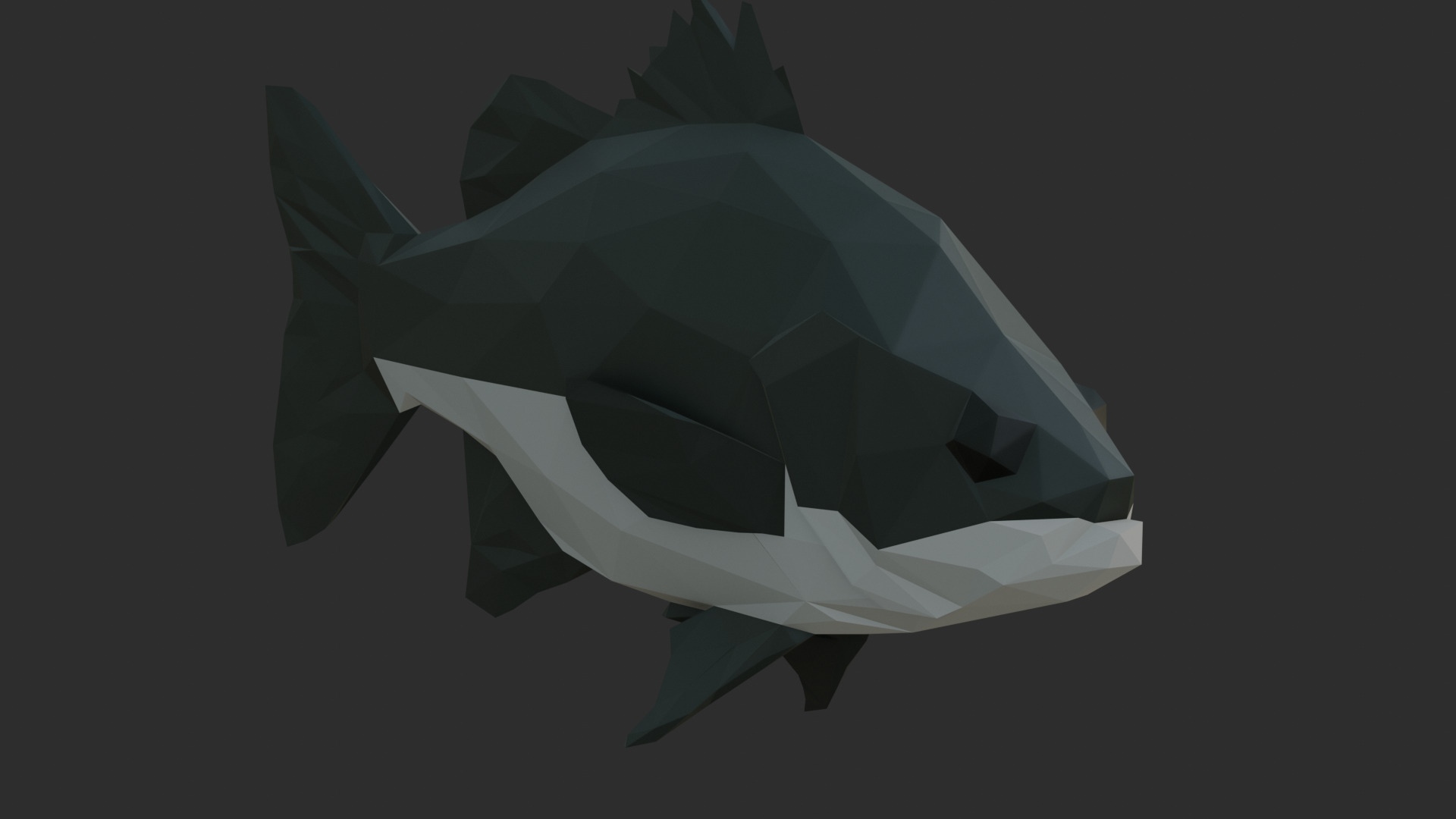 Low Poly Australian Bass Low-poly 3D model_0