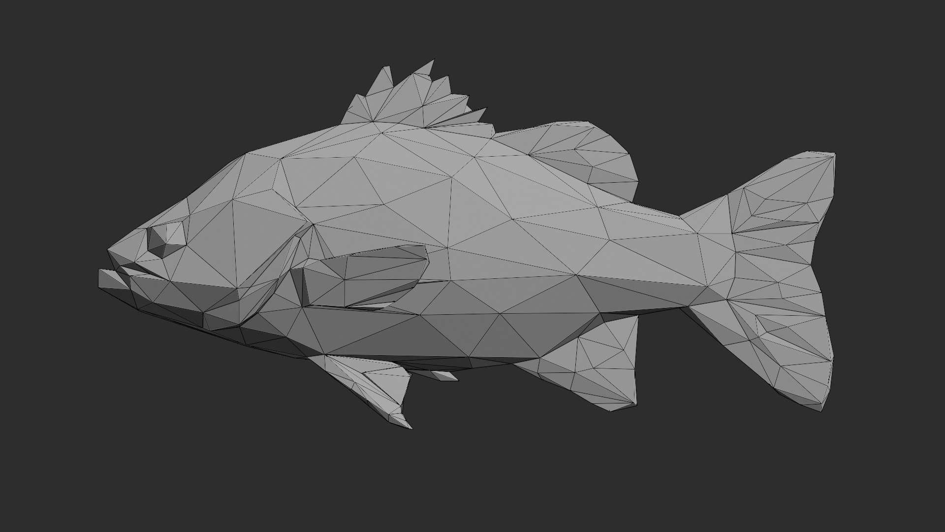 Low Poly Australian Bass Low-poly 3D model_3
