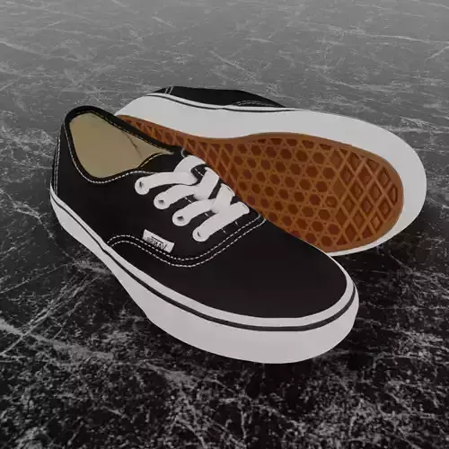 VANS AUTHENTIC UNISEX OLD SKOOL 3D SHOES