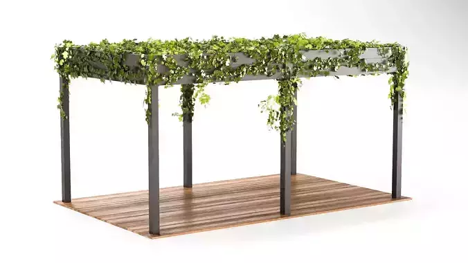 Outdoors Pergola