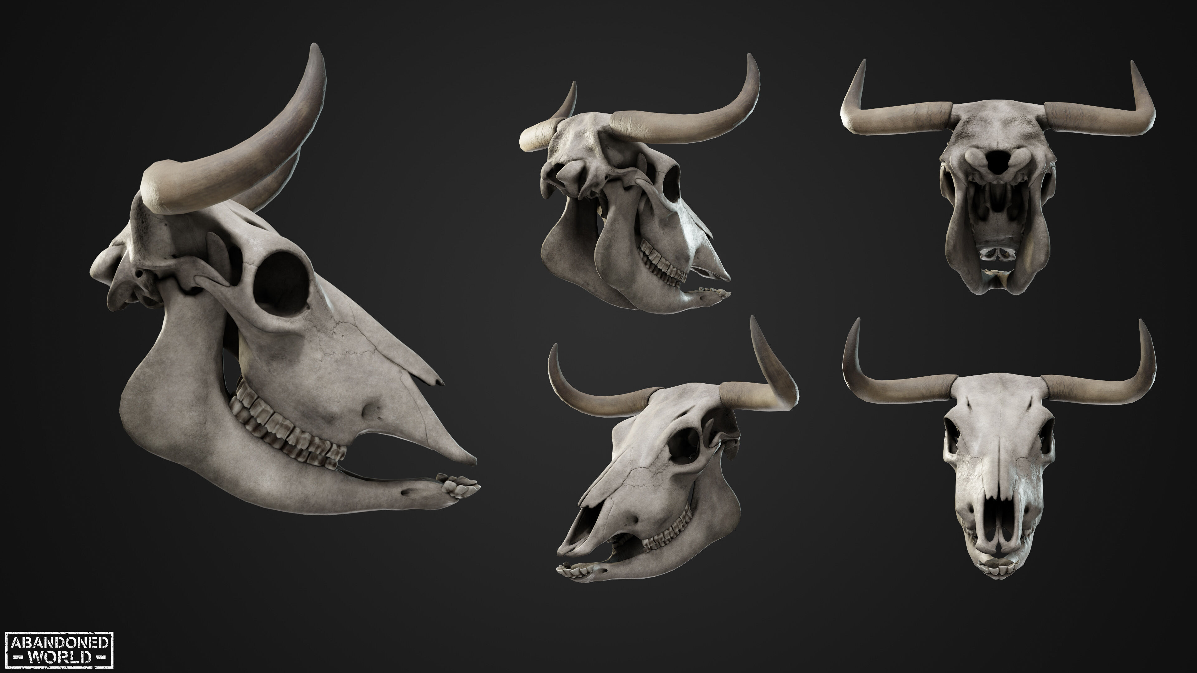 Cow Skull Low-poly 3D model_3