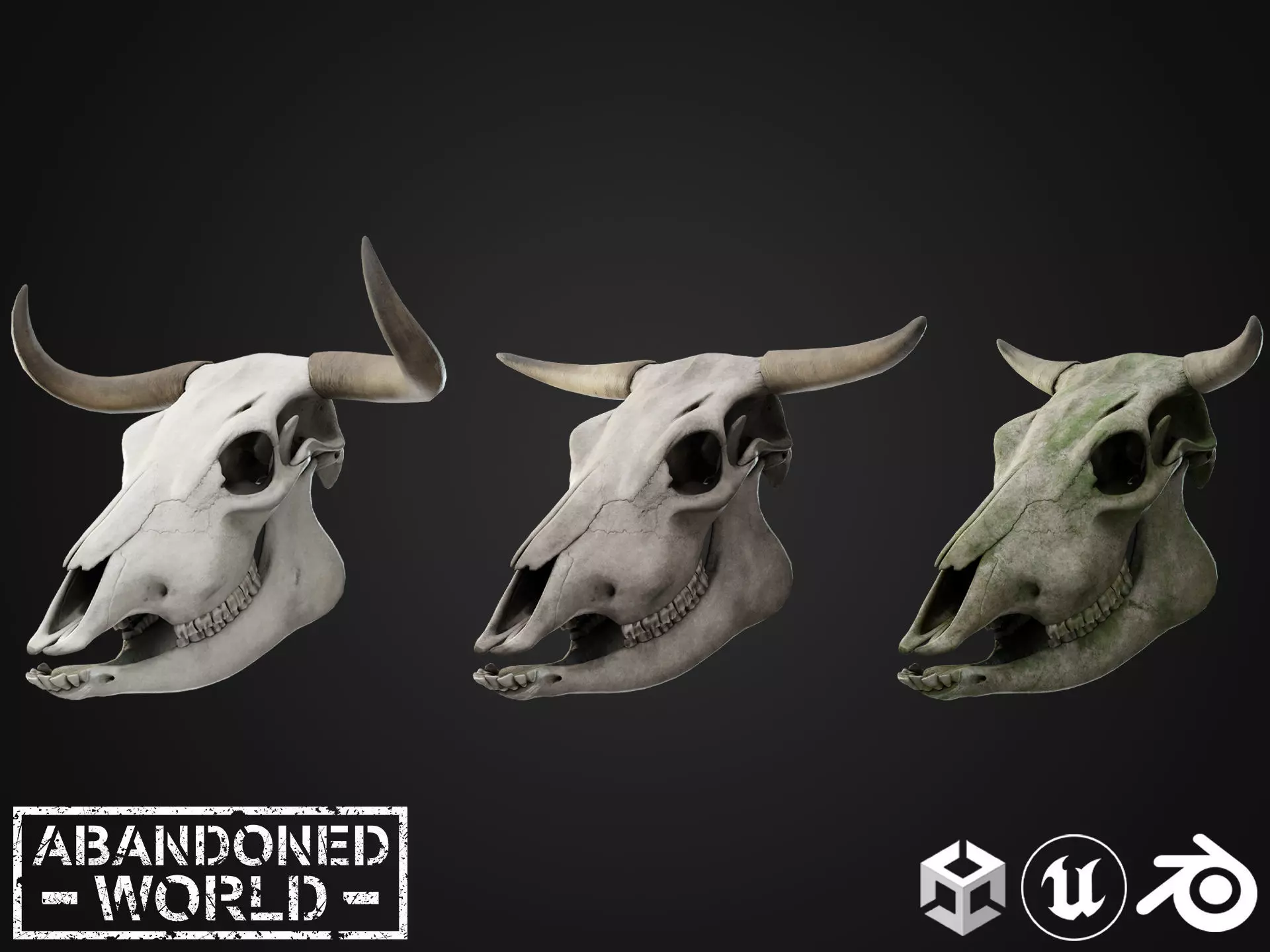 Cow Skull Low-poly 3D model_0
