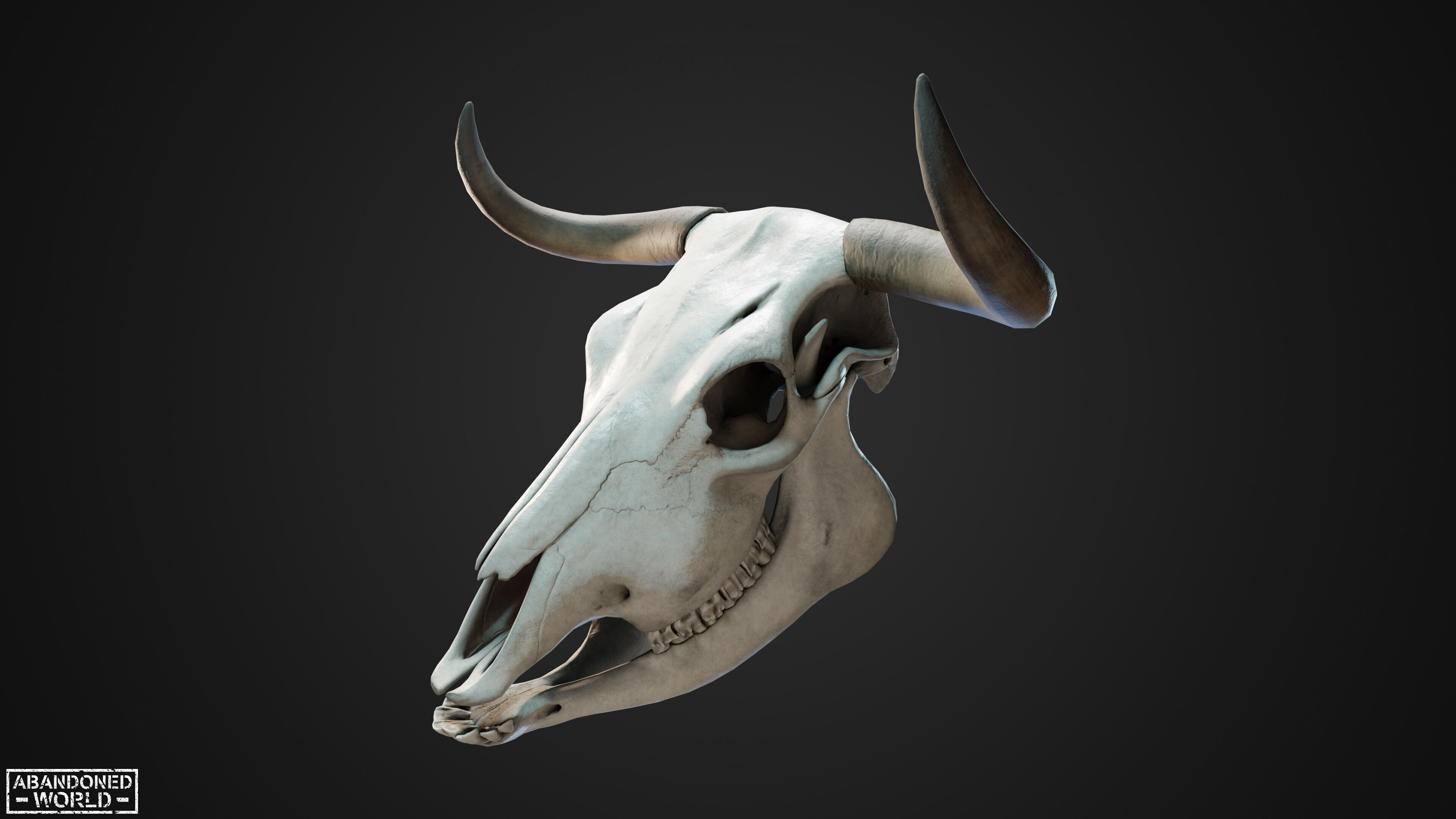 Cow Skull Low-poly 3D model_5