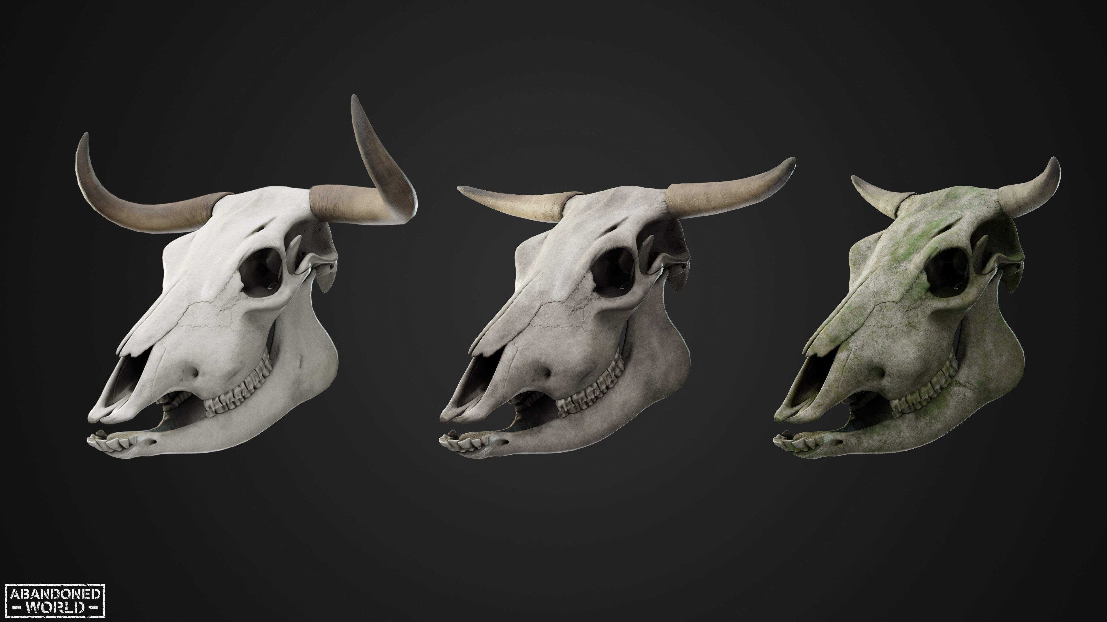 Cow Skull Low-poly 3D model_1