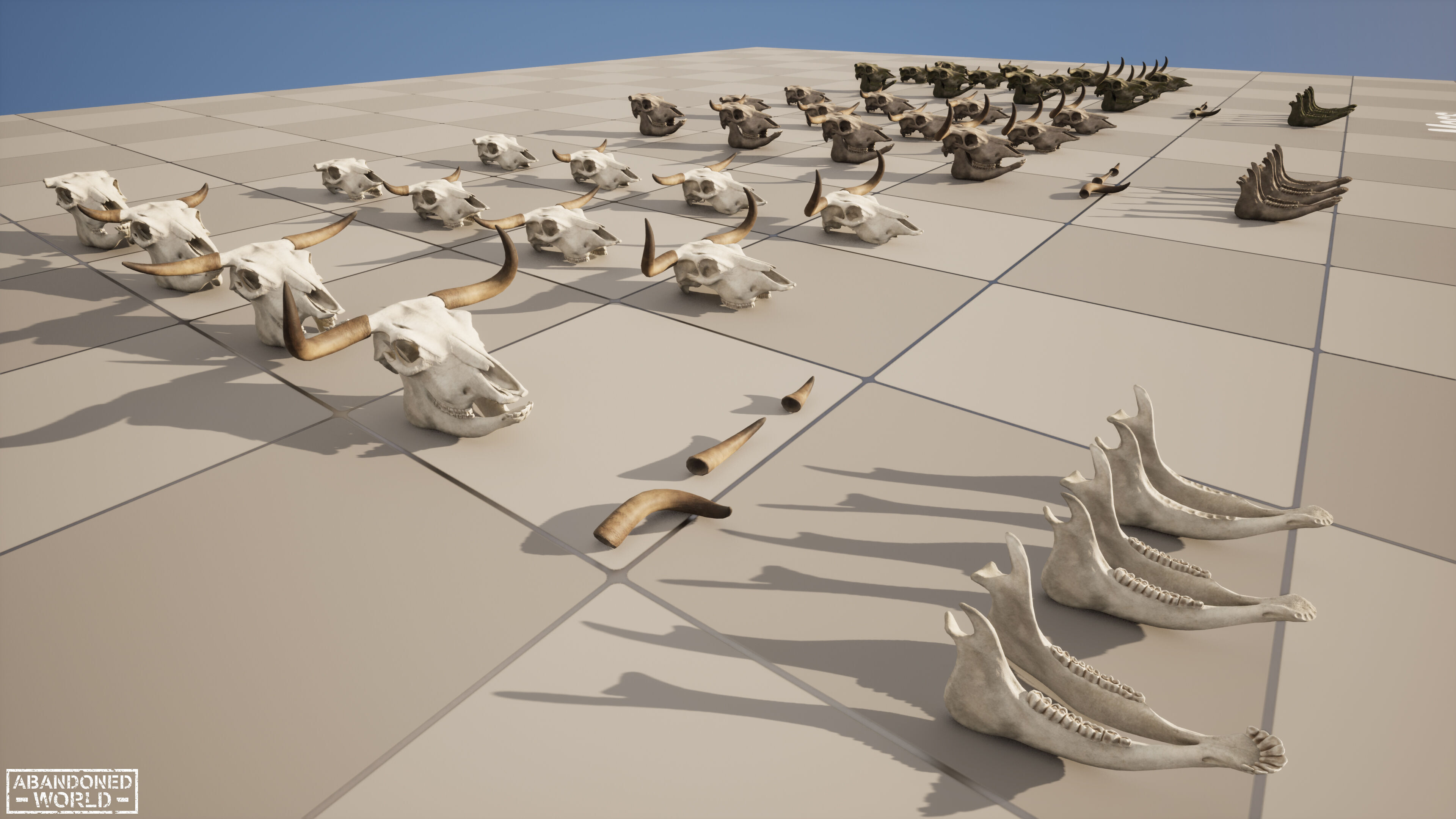 Cow Skull Low-poly 3D model_17