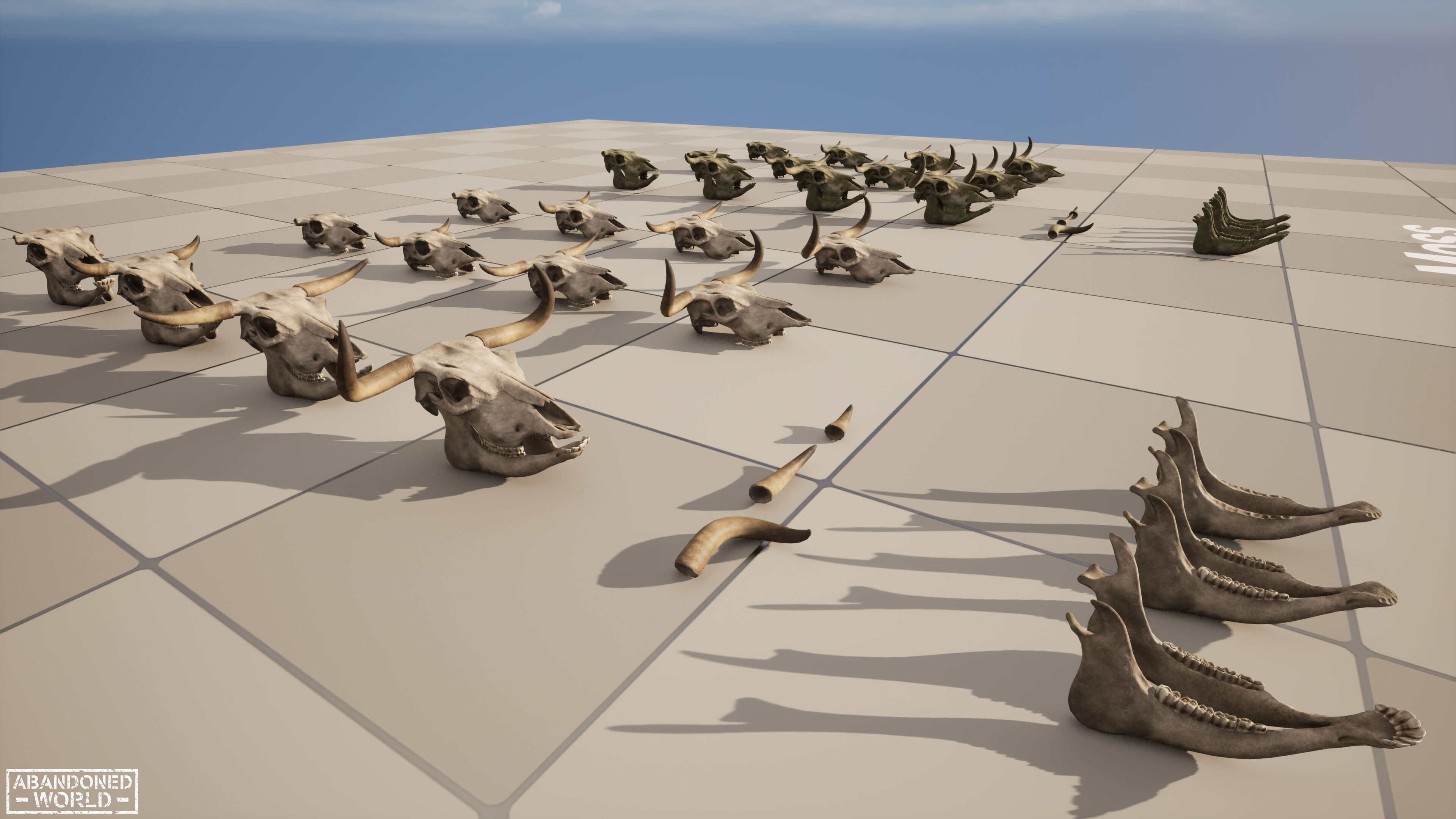 Cow Skull Low-poly 3D model_18