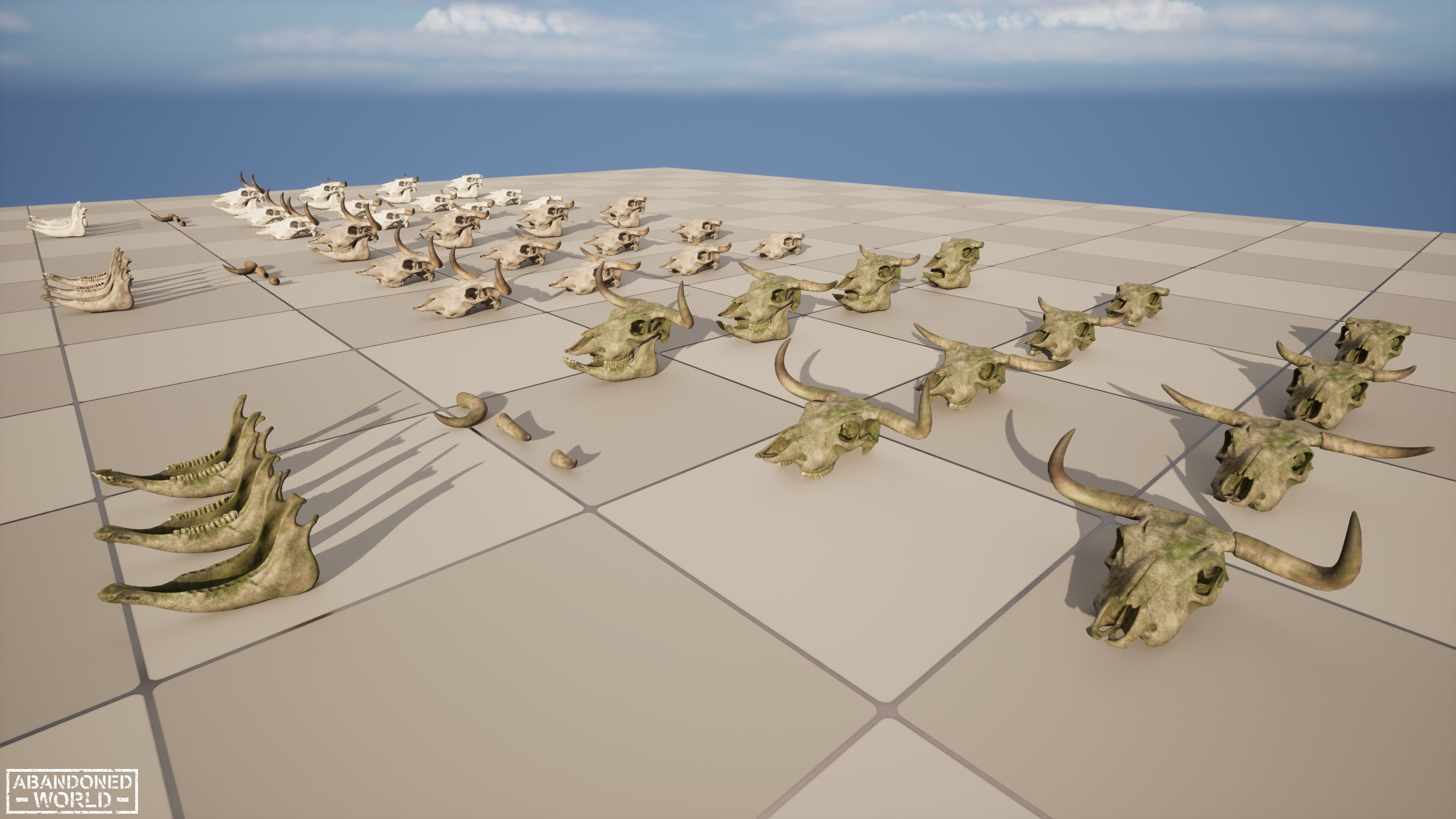 Cow Skull Low-poly 3D model_19