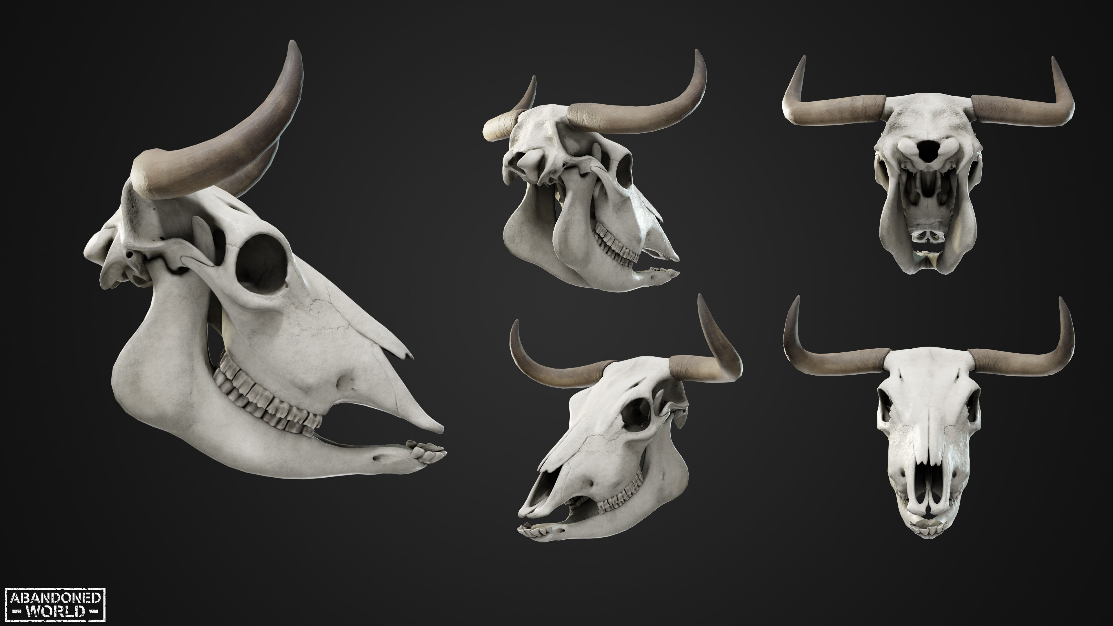 Cow Skull Low-poly 3D model_2