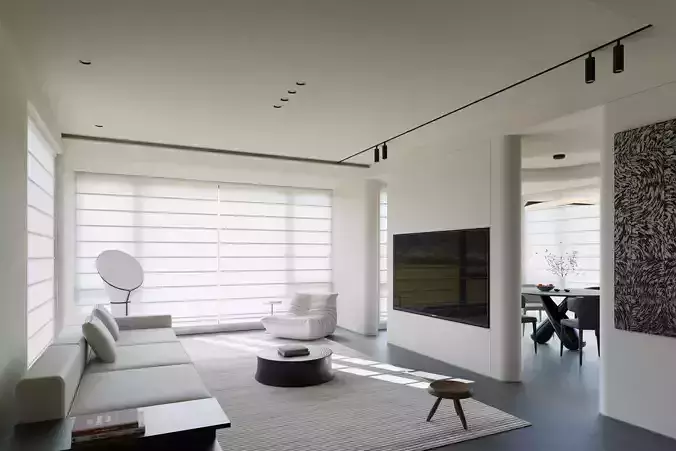 Apartment interior scenes      